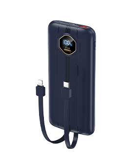 RPP-300 Pinjur Series 20W+22.5W PD+QC Fast Charging Cabled Power Bank