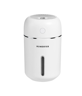 RT-A610janeHumidifier